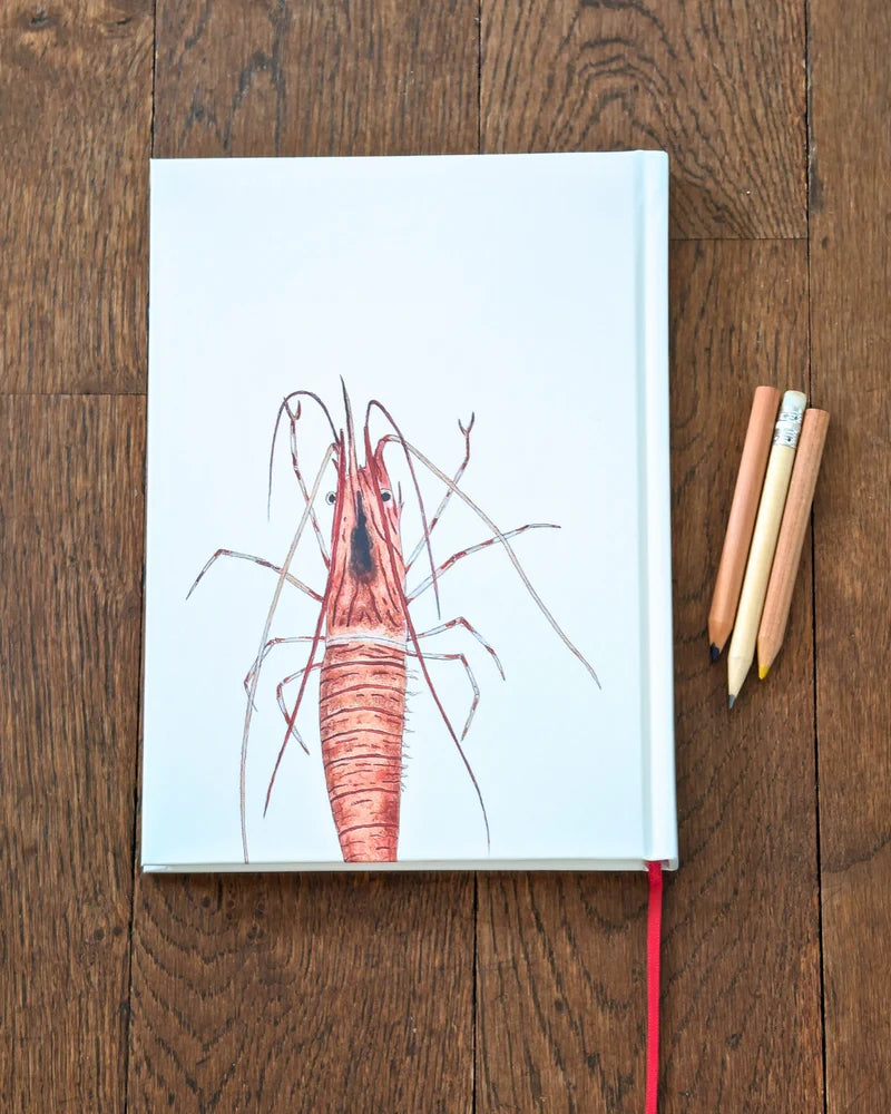 CARNET DE NOTES A5 - CREVETTE