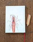 CARNET DE NOTES A5 - CREVETTE