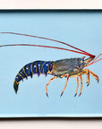 PLATEAU EMAILLE 45 x 25 CM - LANGOUSTE