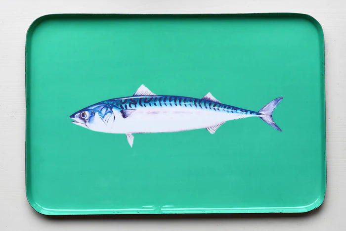 PLATEAU EMAILLE 45 x 25 CM - MAQUEREAU
