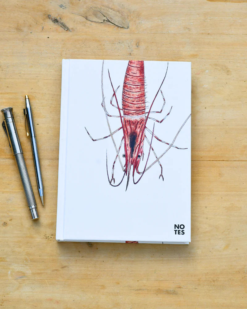 CARNET DE NOTES A5 - CREVETTE