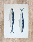 TORCHON SARDINES - VAREK